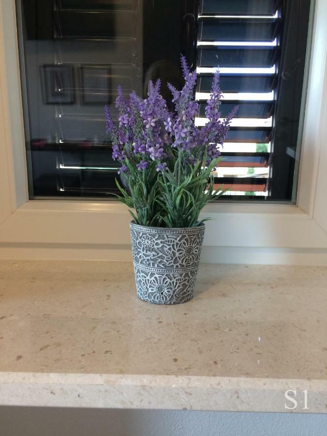 Apartament Morus Alba Split Zewnętrze zdjęcie